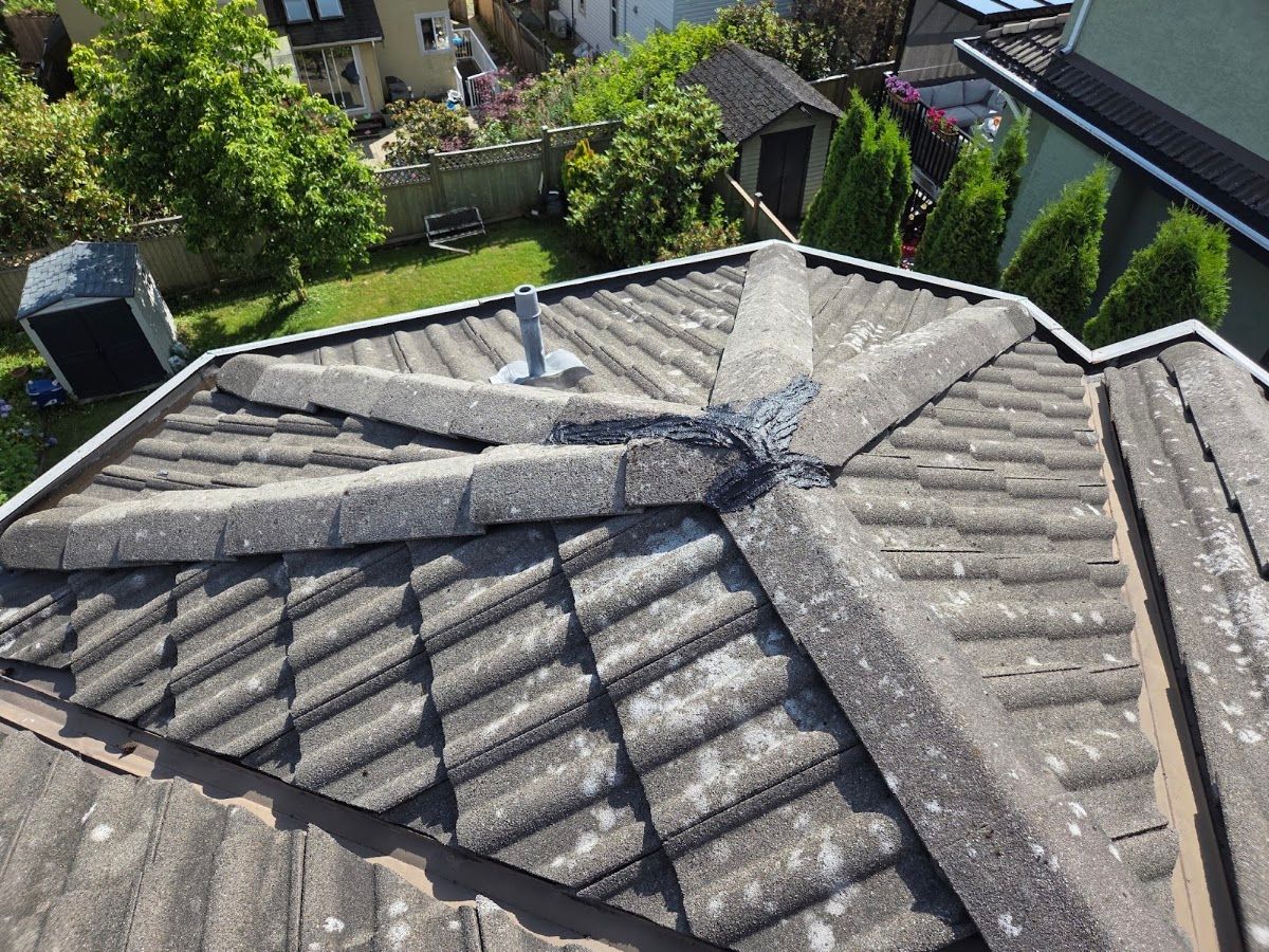 Stormrider Roof Repairs photo