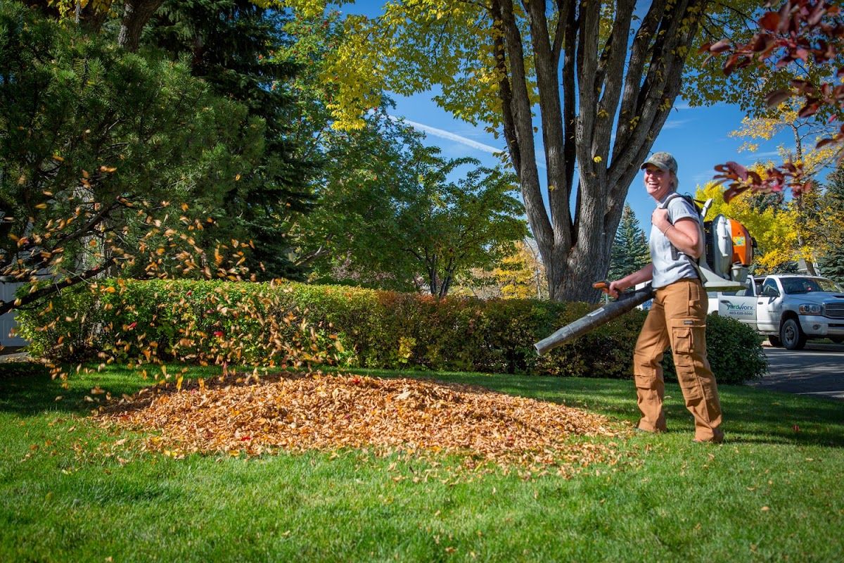 Yardworx photo