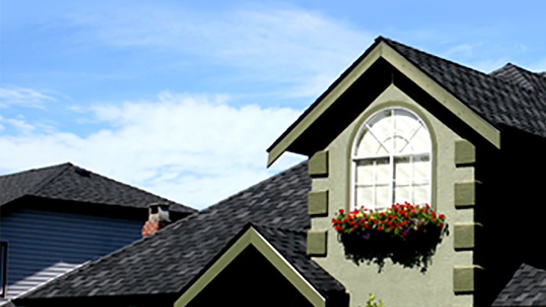 Alfa Roofing & Siding Ltd. photo