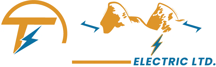 Two Lions Electric Ltd logo