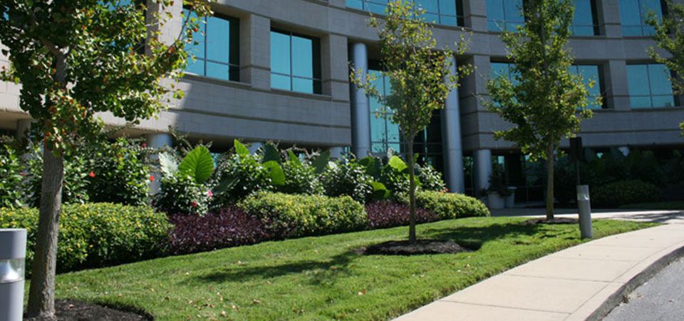 One Landscaping & Property logo