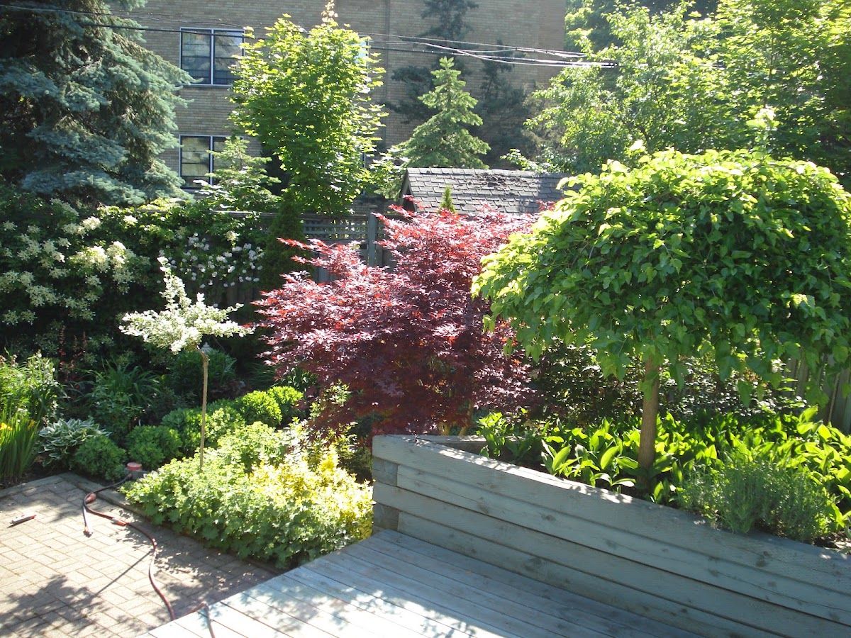 Imperial Landscaping photo