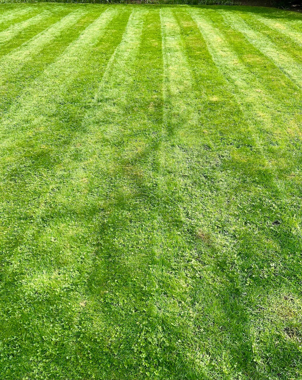 The Vancouver Lawn Care Crew photo