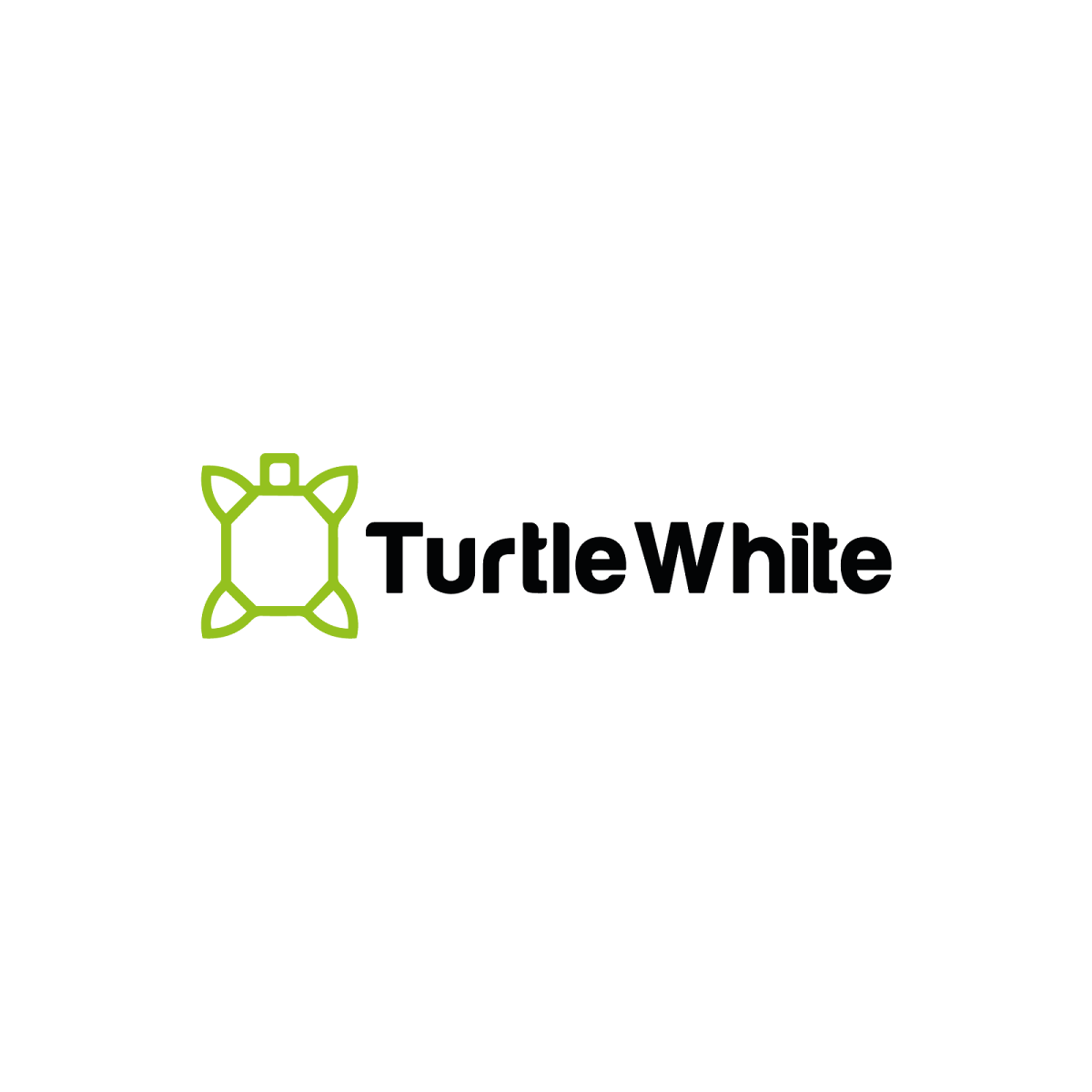 Turtle white services photo
