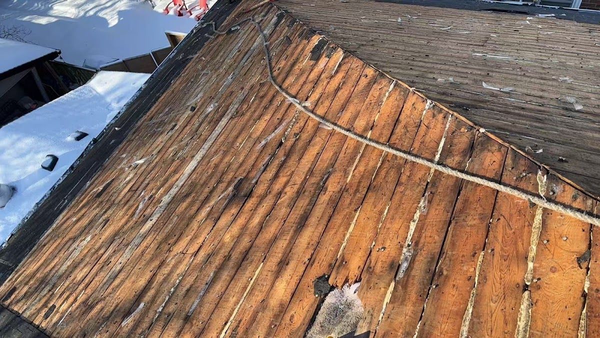 Allguard Roofing Toronto photo