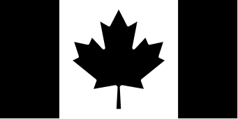 ANVIL logo