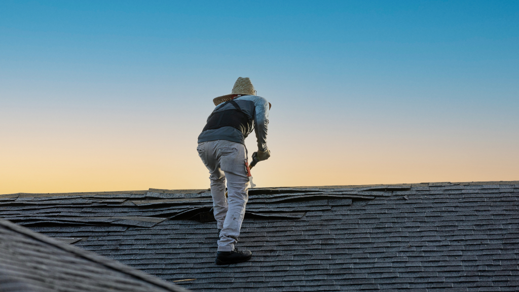 Skyrise Roofing Ottawa photo