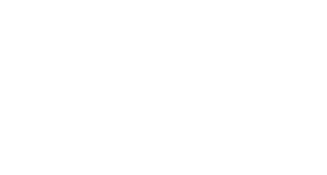 Casey Owens logo
