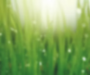 Local Gardening Services logo