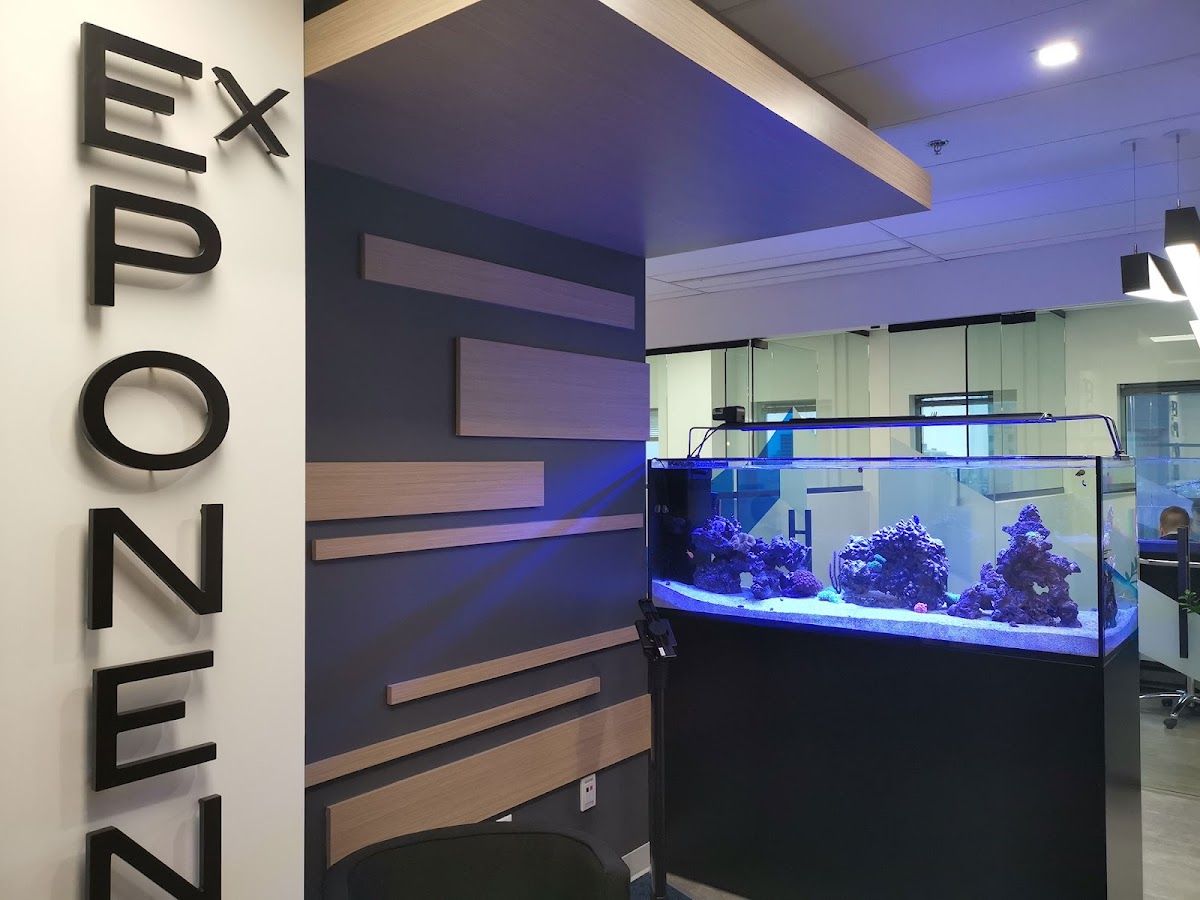 Exponent Investment photo