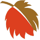 Autumnfire Internet logo