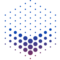VizworX Inc. logo