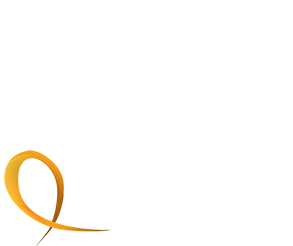 Netquity Corp logo