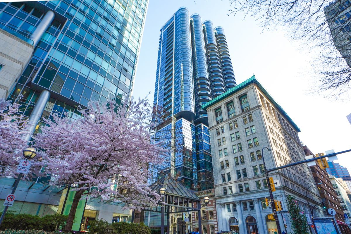 Medstern Canada LLP photo