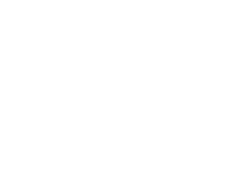 Axis BC logo