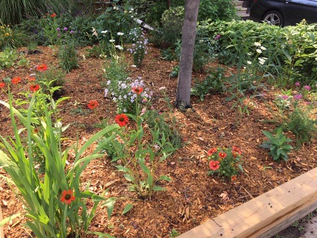 Saben Landscaping photo