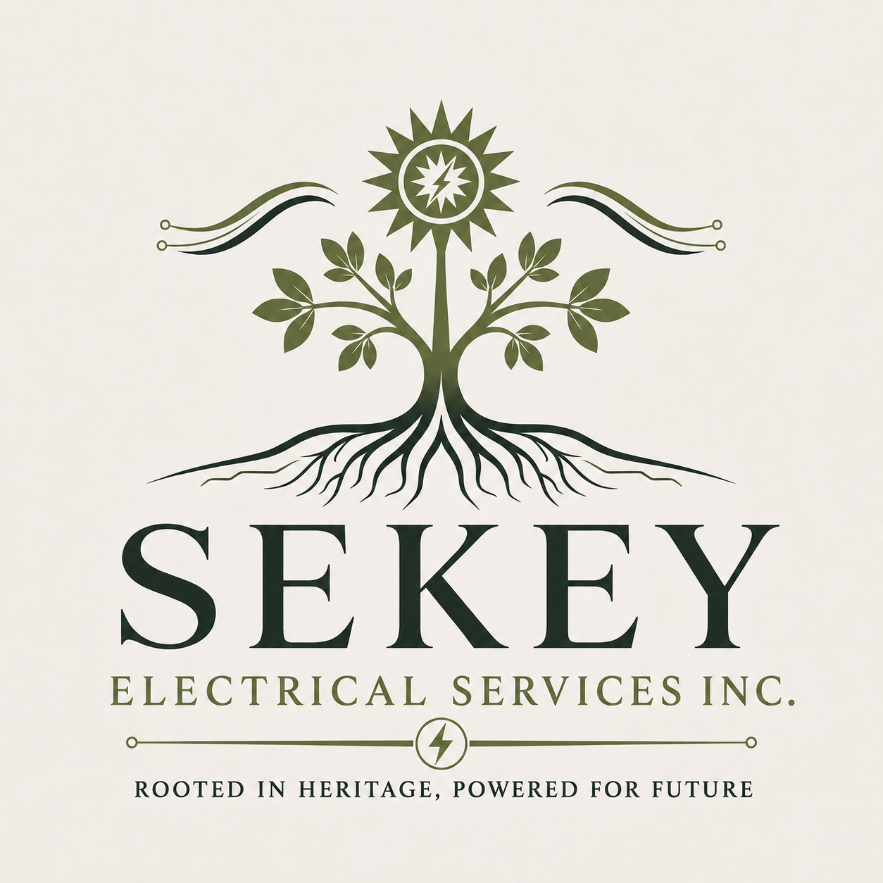 Sekey Electrical Services logo