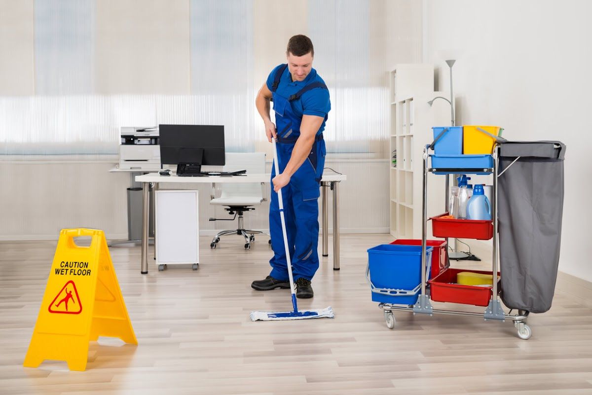CleanTegra Cleaning photo