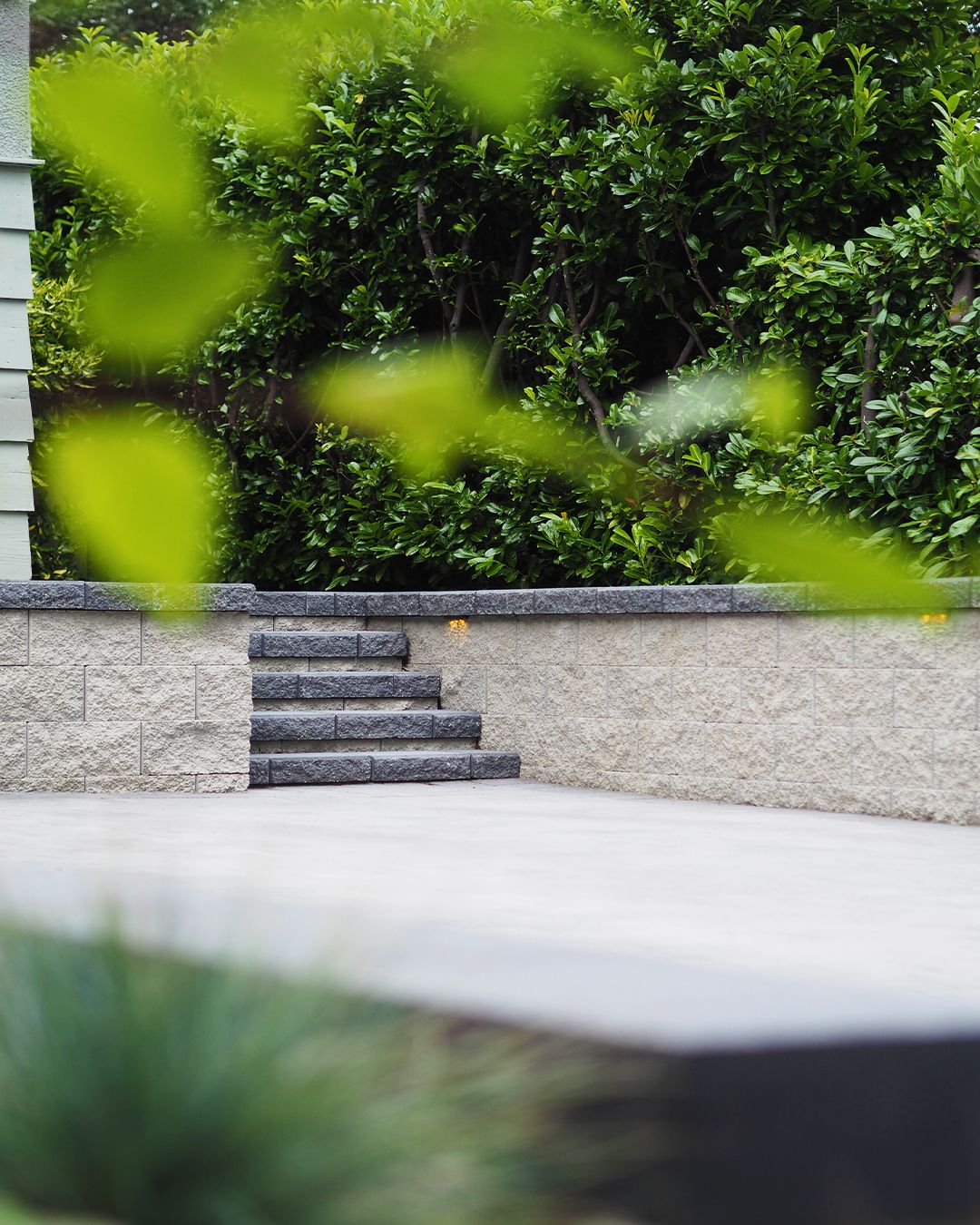 Absolute Landscaping Ltd. photo