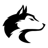 Black Wolf Accounting Inc. logo