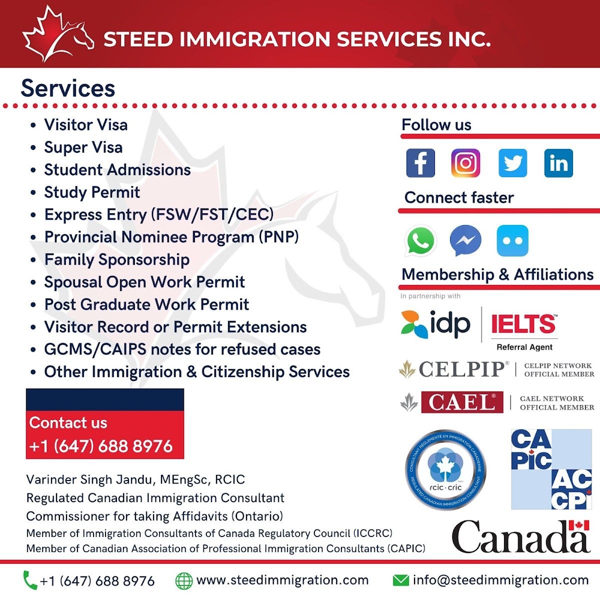 Steed Immigration Services photo