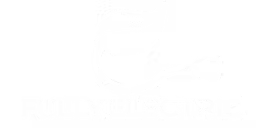 Fully Electric Inc. logo