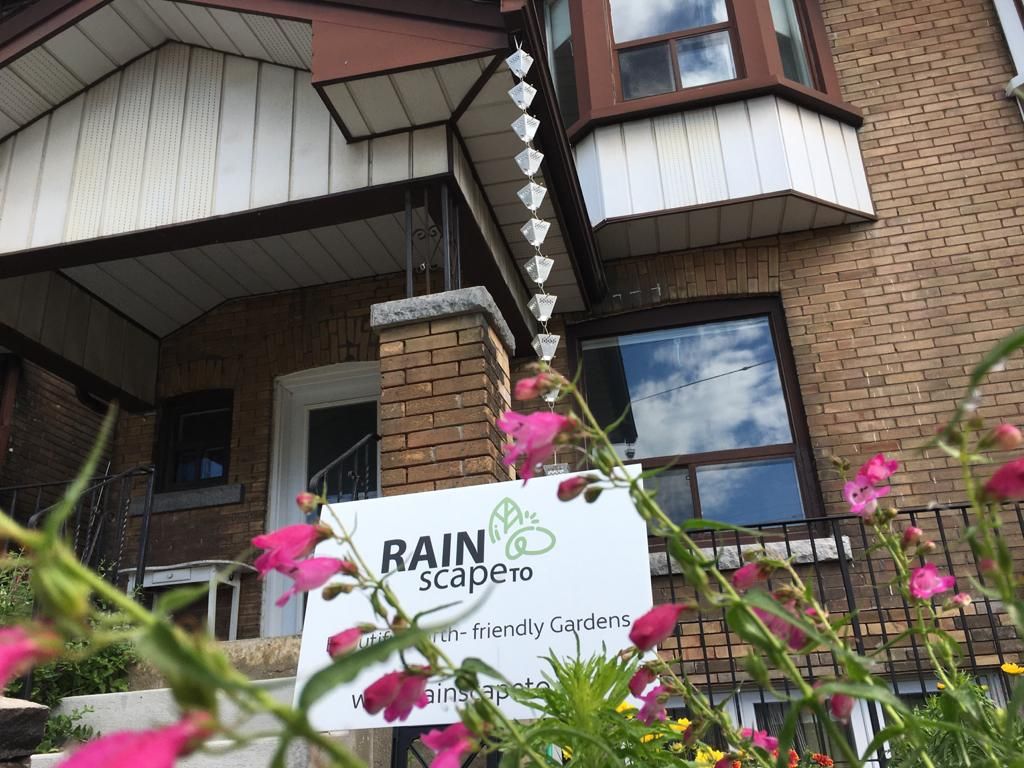 RAINscapeTO photo