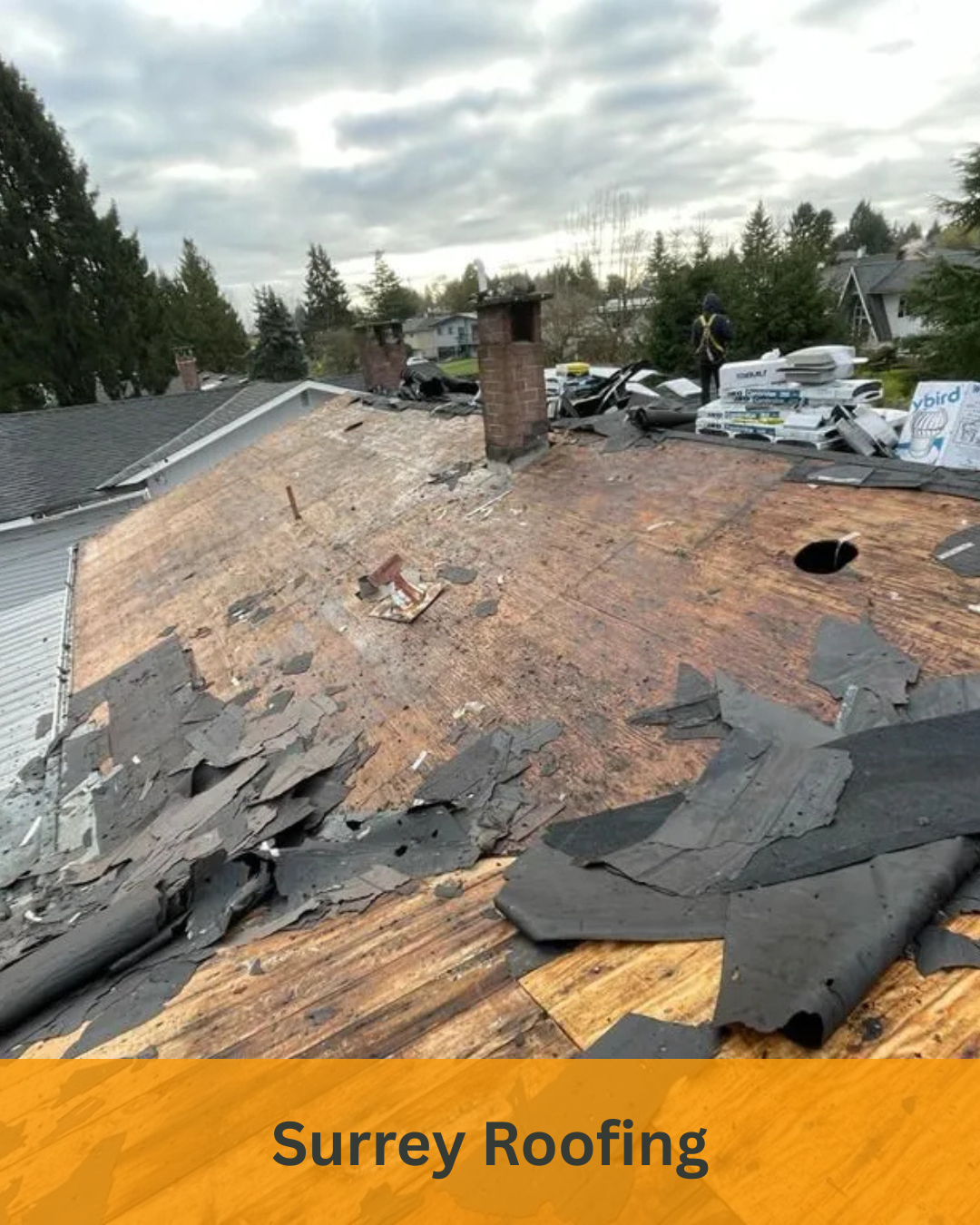 Paragon Roofing BC photo