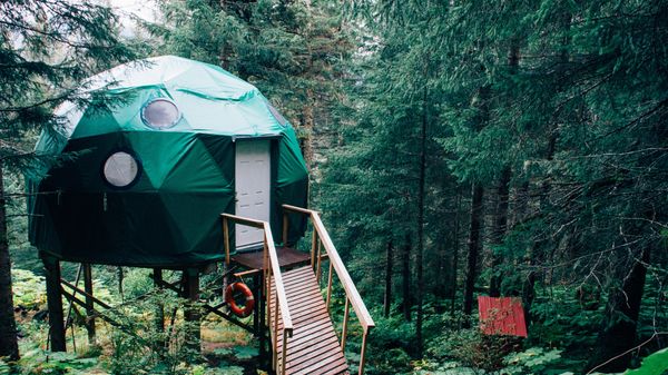 green dome near brown wooden dock near green leaved trees