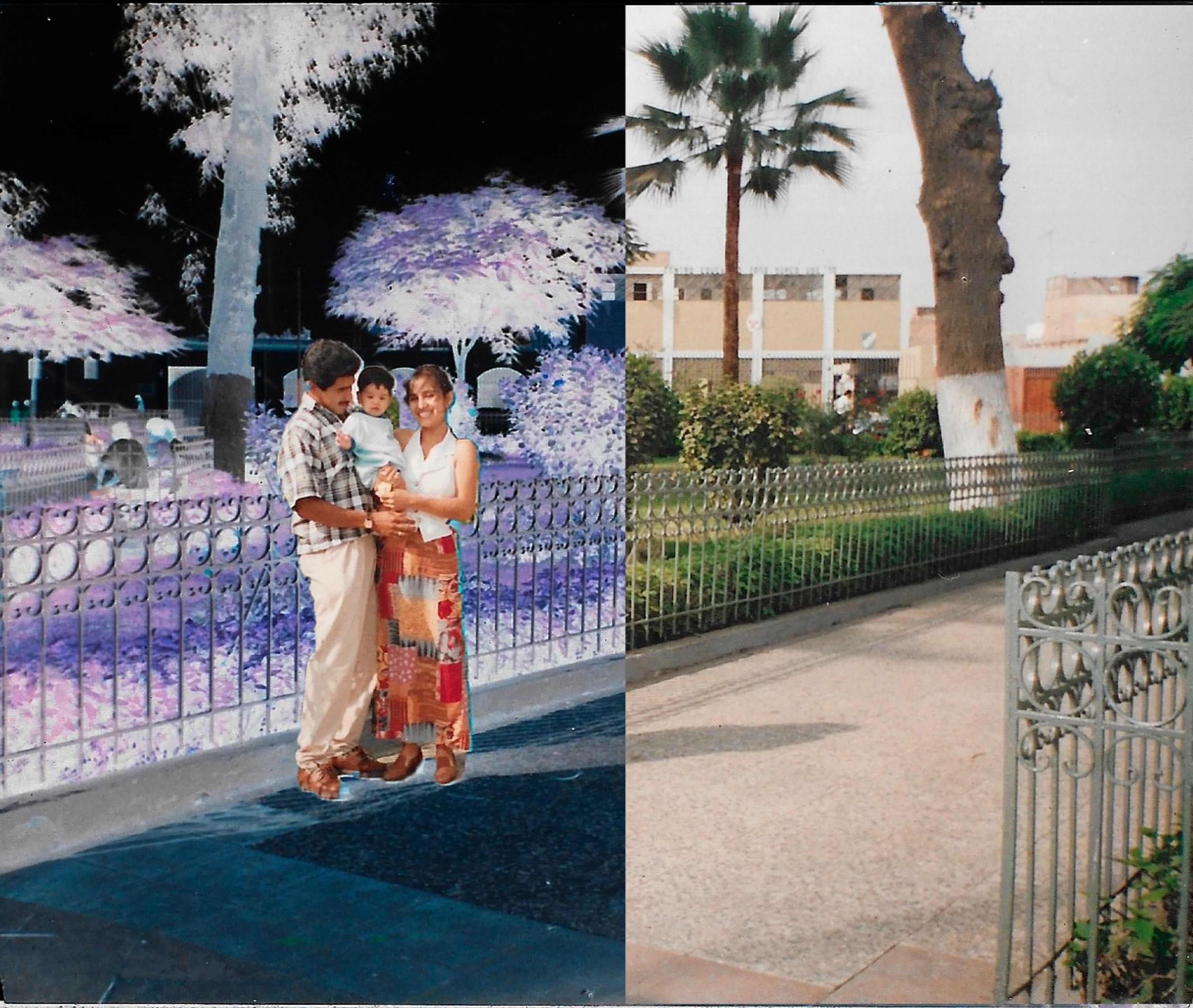 Fotografía de una familia en un parque dividida entre un lado en negativo y otro en color
