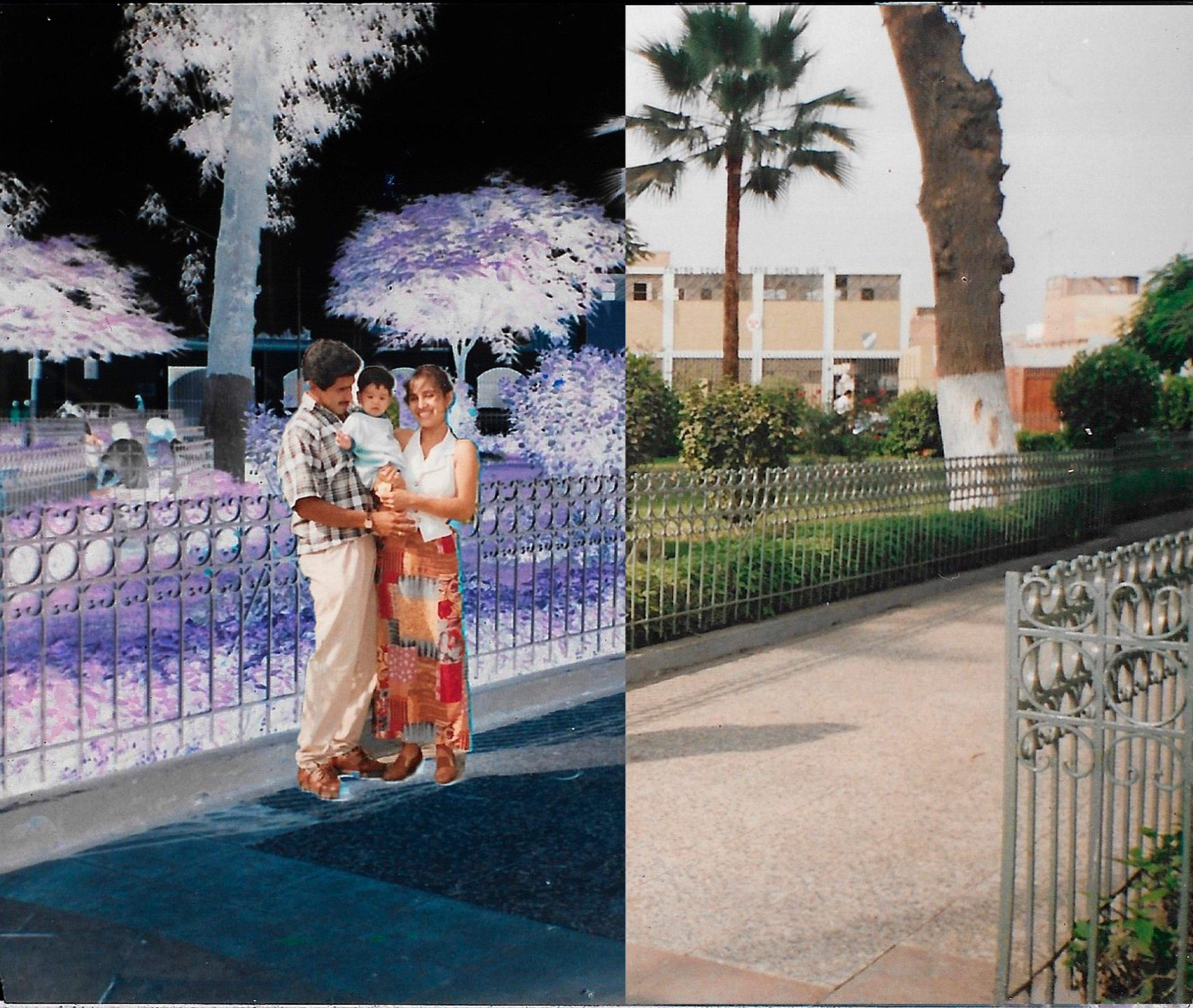 Fotografía de una familia en un parque dividida entre un lado en negativo y otro en color