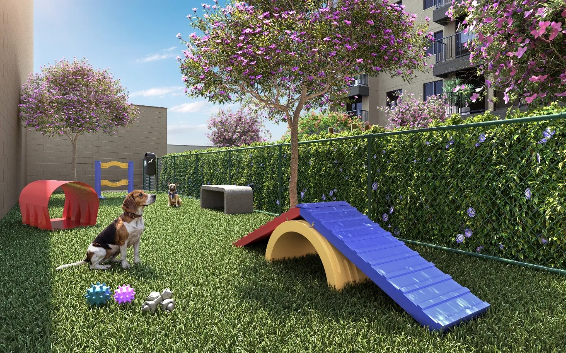 Ciata Residencial — foto 2