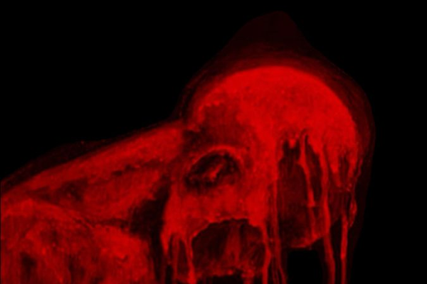 Why does your glow fade… even when you’re trying your best?