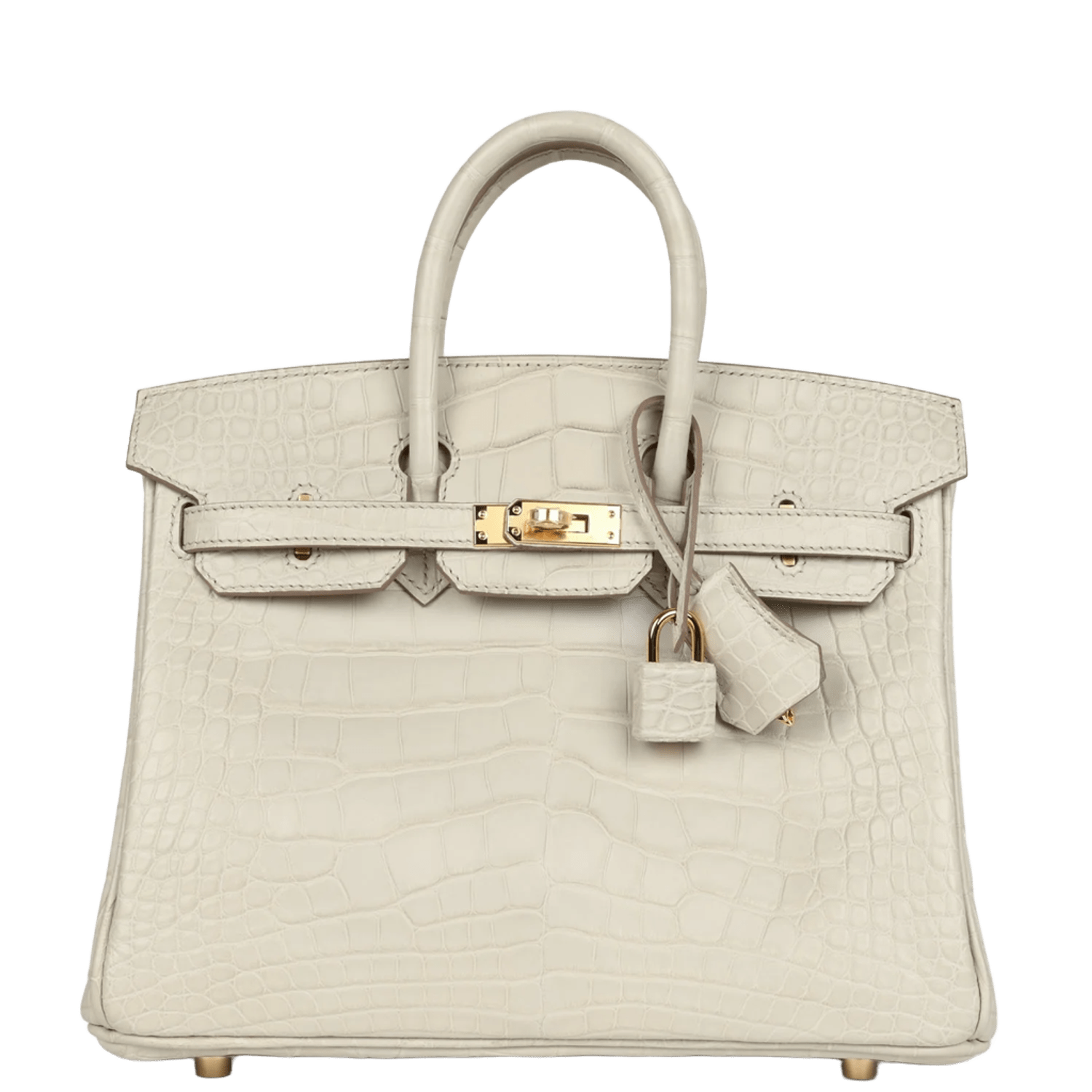 Hermès Birkin 25 Beton Matte Alligator Gold Hardware