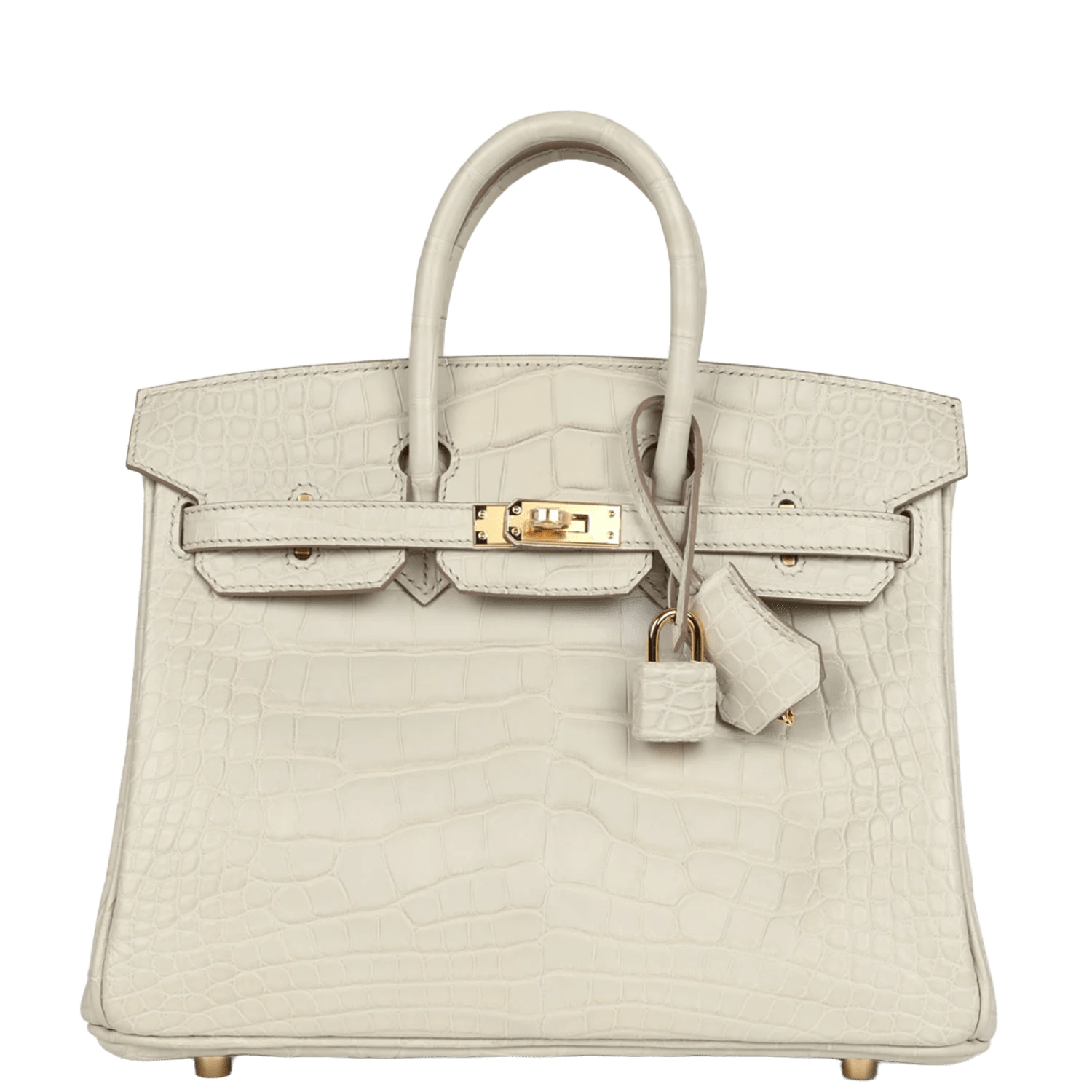 Hermès Birkin 25 Beton Matte Alligator Gold Hardware