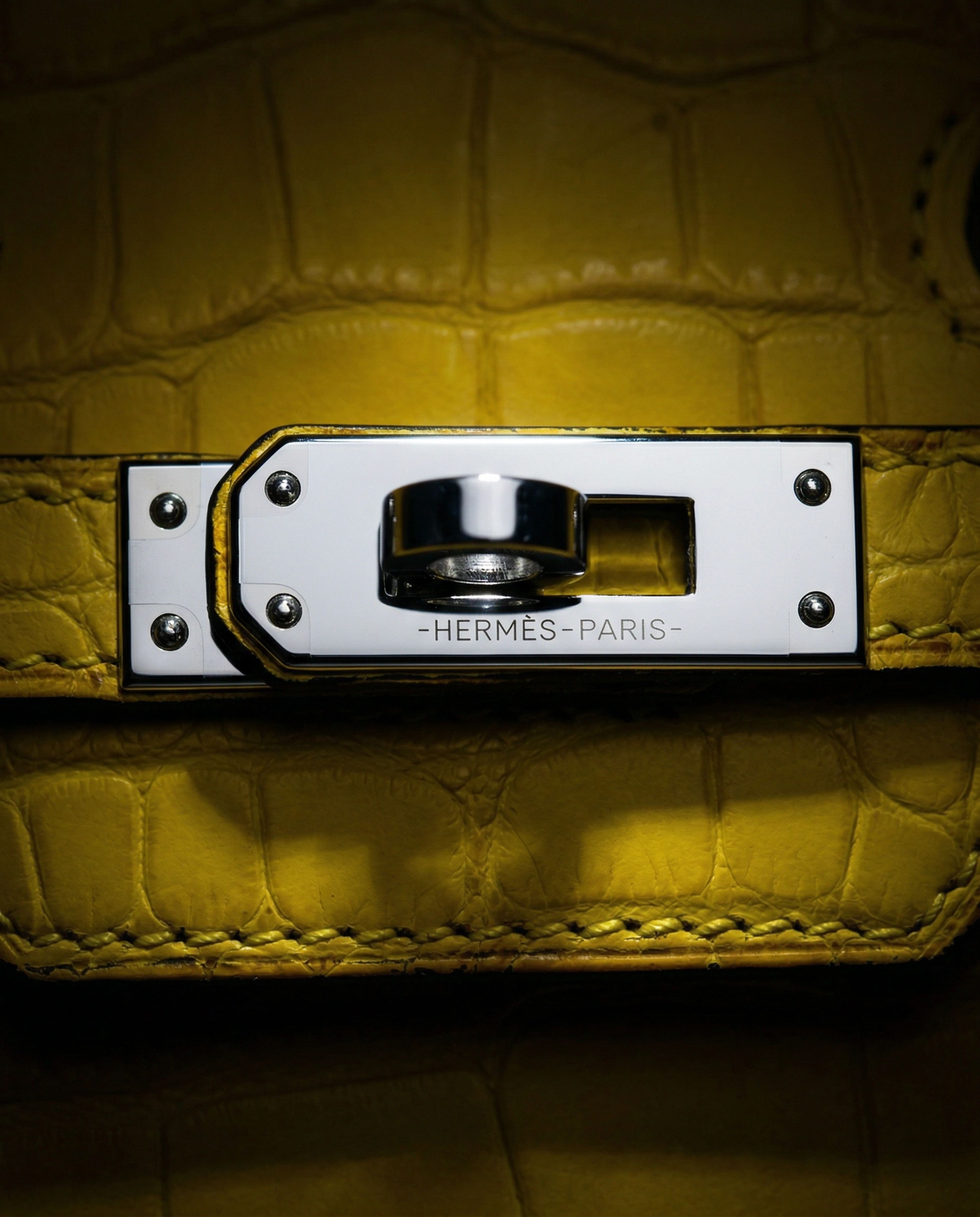 Hermès Birkin Mimosa Matte Alligator Palladium Hardware