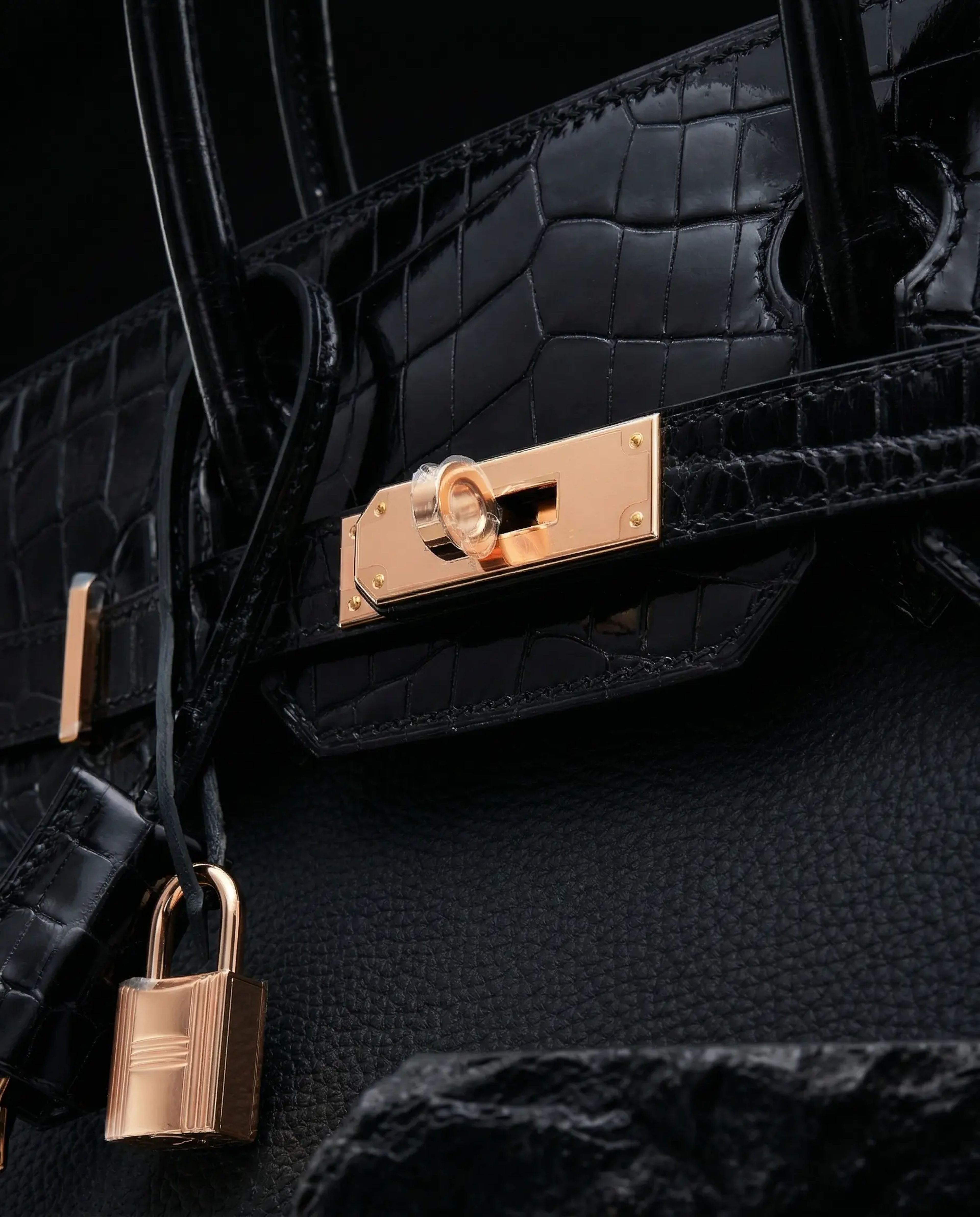 Hermès Birkin 30 Touch Niloticus Togo Black