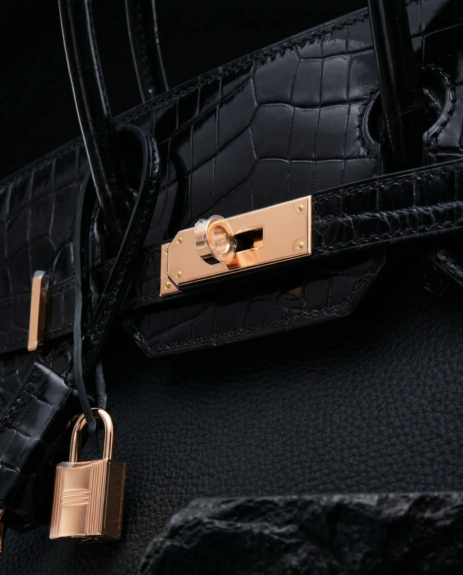 Hermès Birkin 30 Touch Niloticus Togo Black
