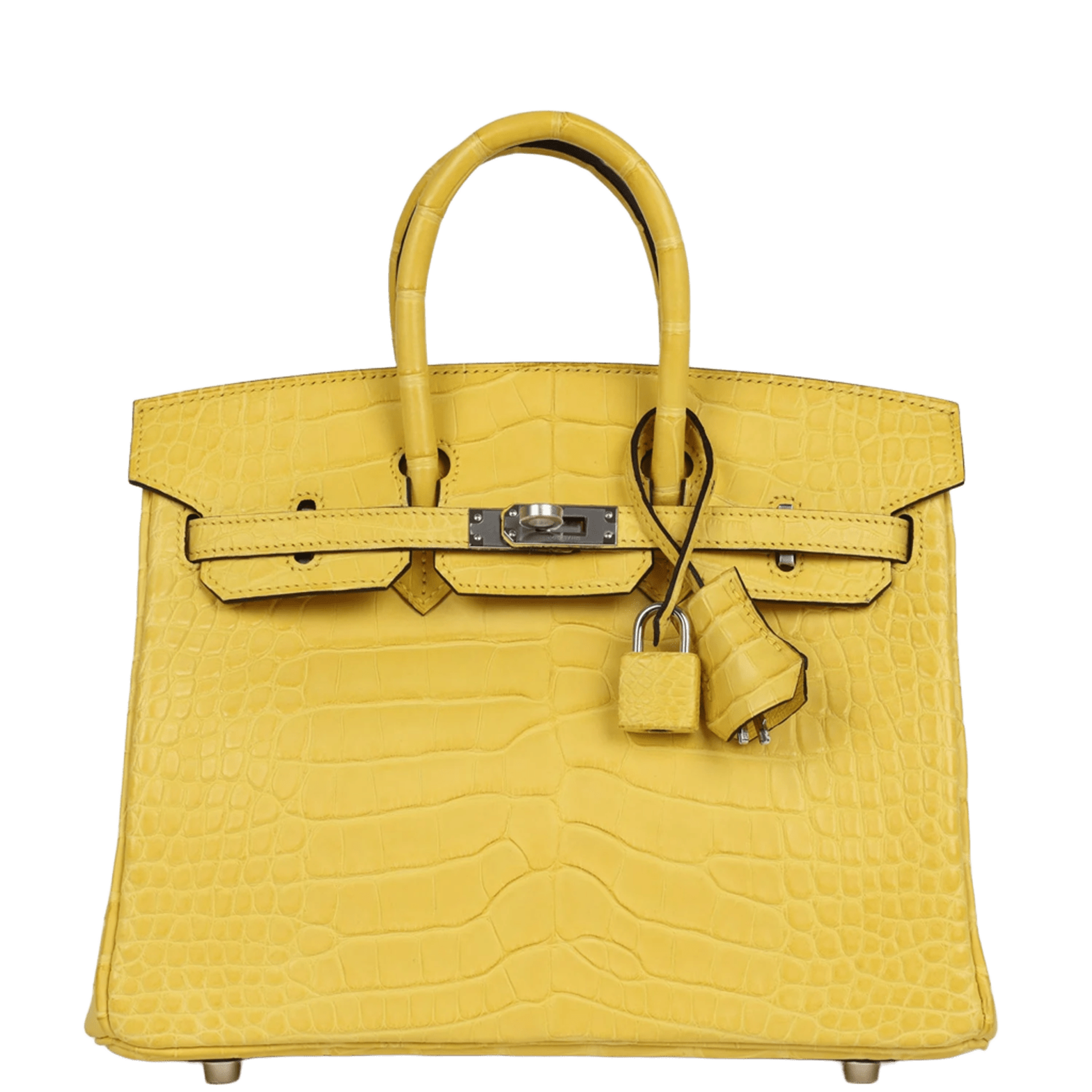 Hermès Birkin Mimosa Matte Alligator Palladium Hardware