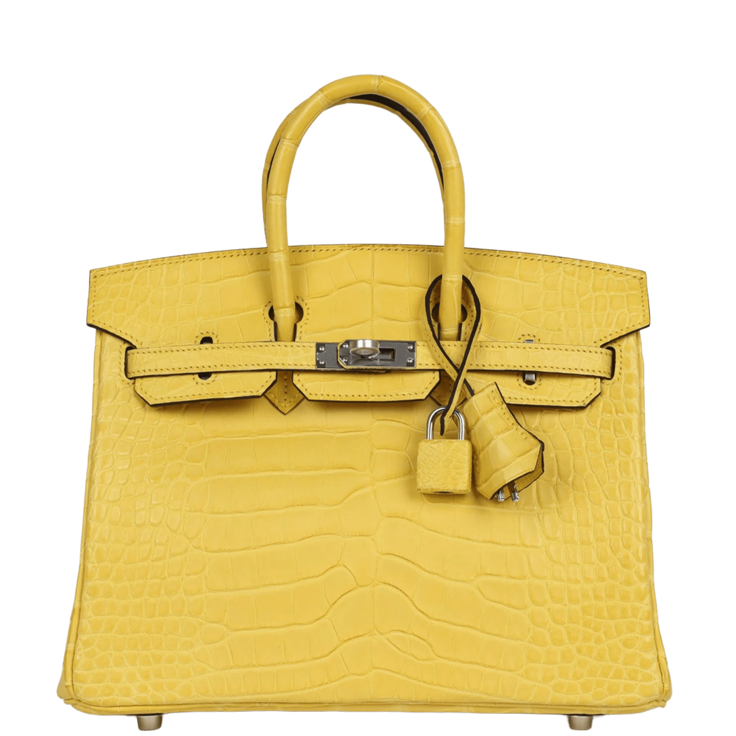 Hermès Birkin Mimosa Matte Alligator Palladium Hardware