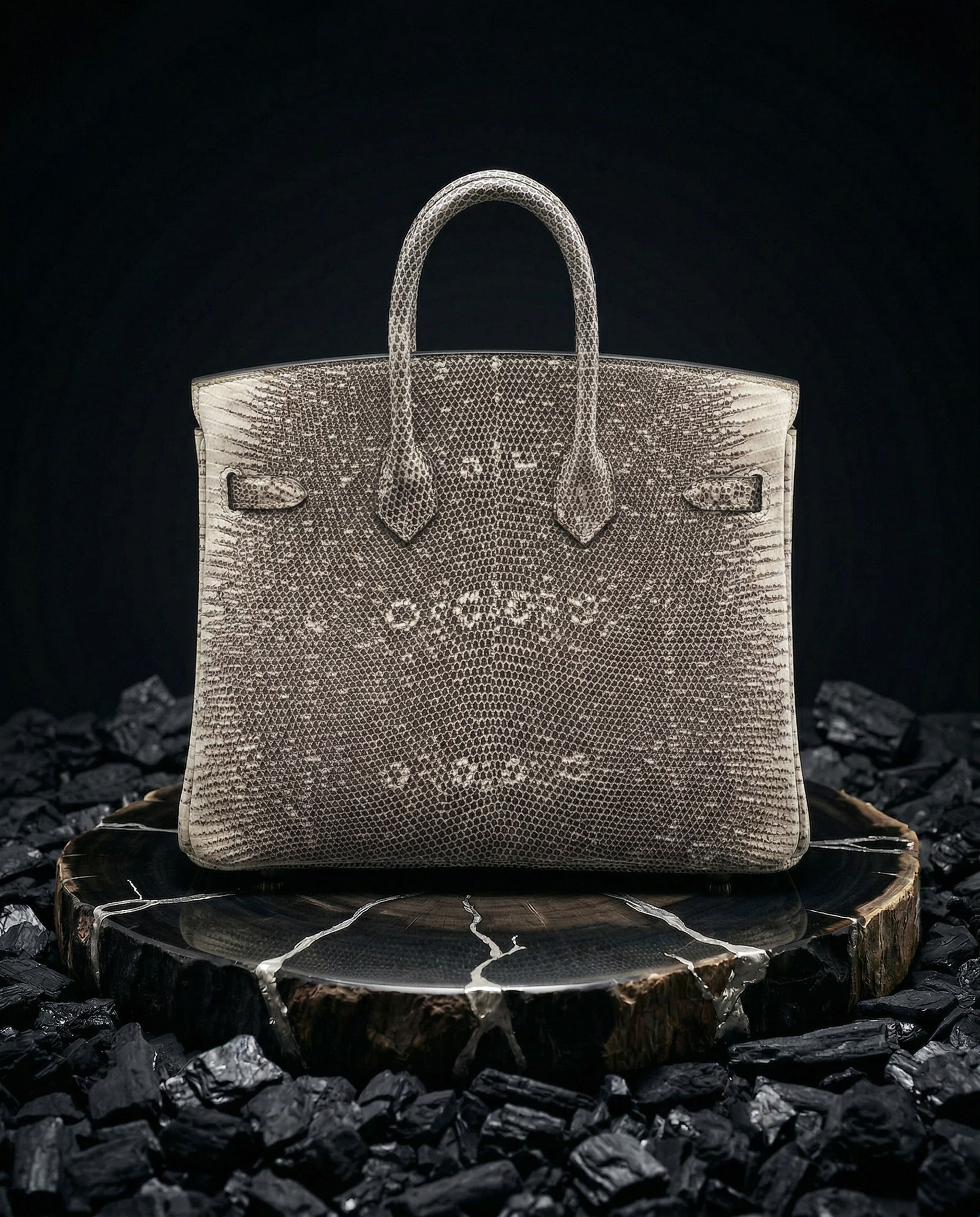 Hermès Birkin 25 Lizard Ombre Palladium Hardware