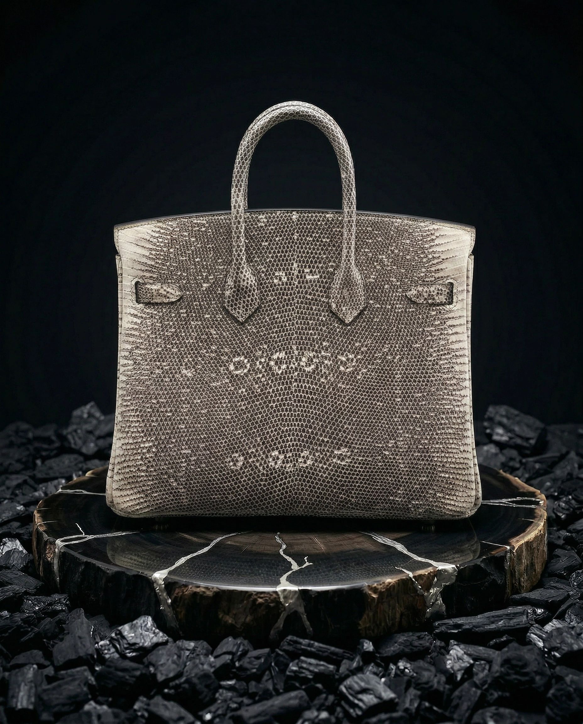 Hermès Birkin 25 Lizard Ombre Palladium Hardware
