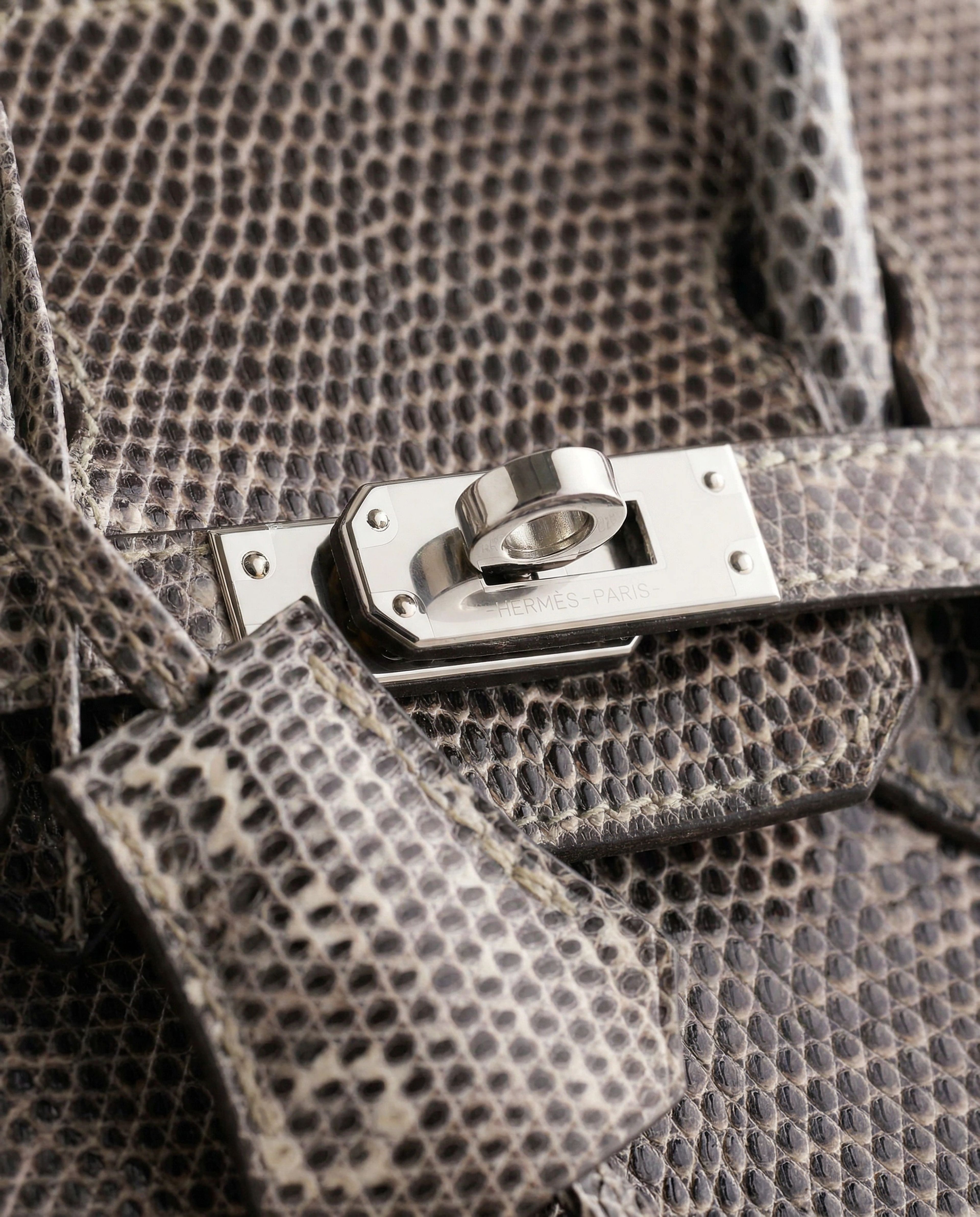 Hermès Birkin 25 Lizard Ombre Palladium Hardware