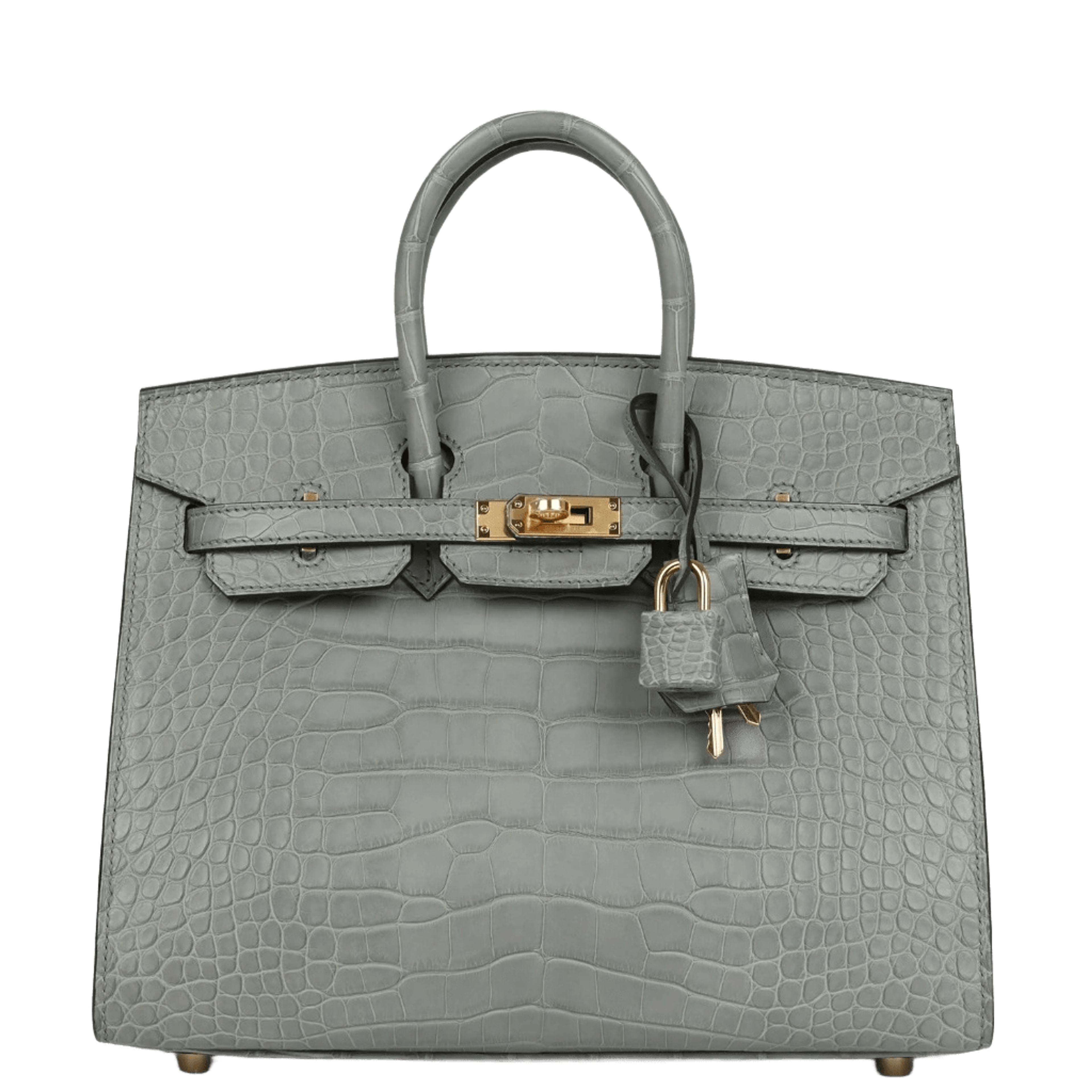 Hermès Birkin Sellier 25 Gris Ciment Matte Alligator Gold Hardware