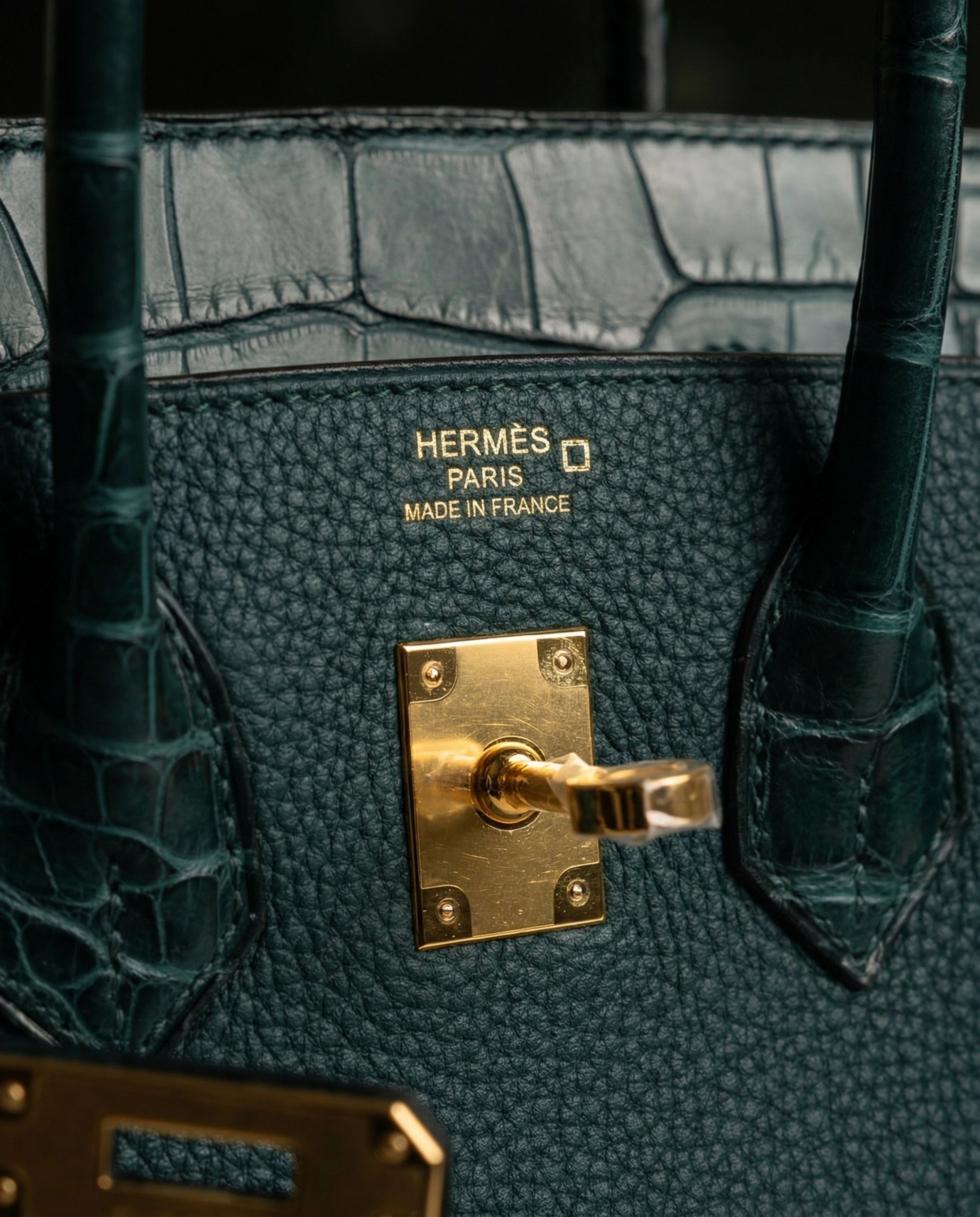 Hermès Birkin 25 Vert Cypress Togo and Matte Alligator Touch Gold Hardware