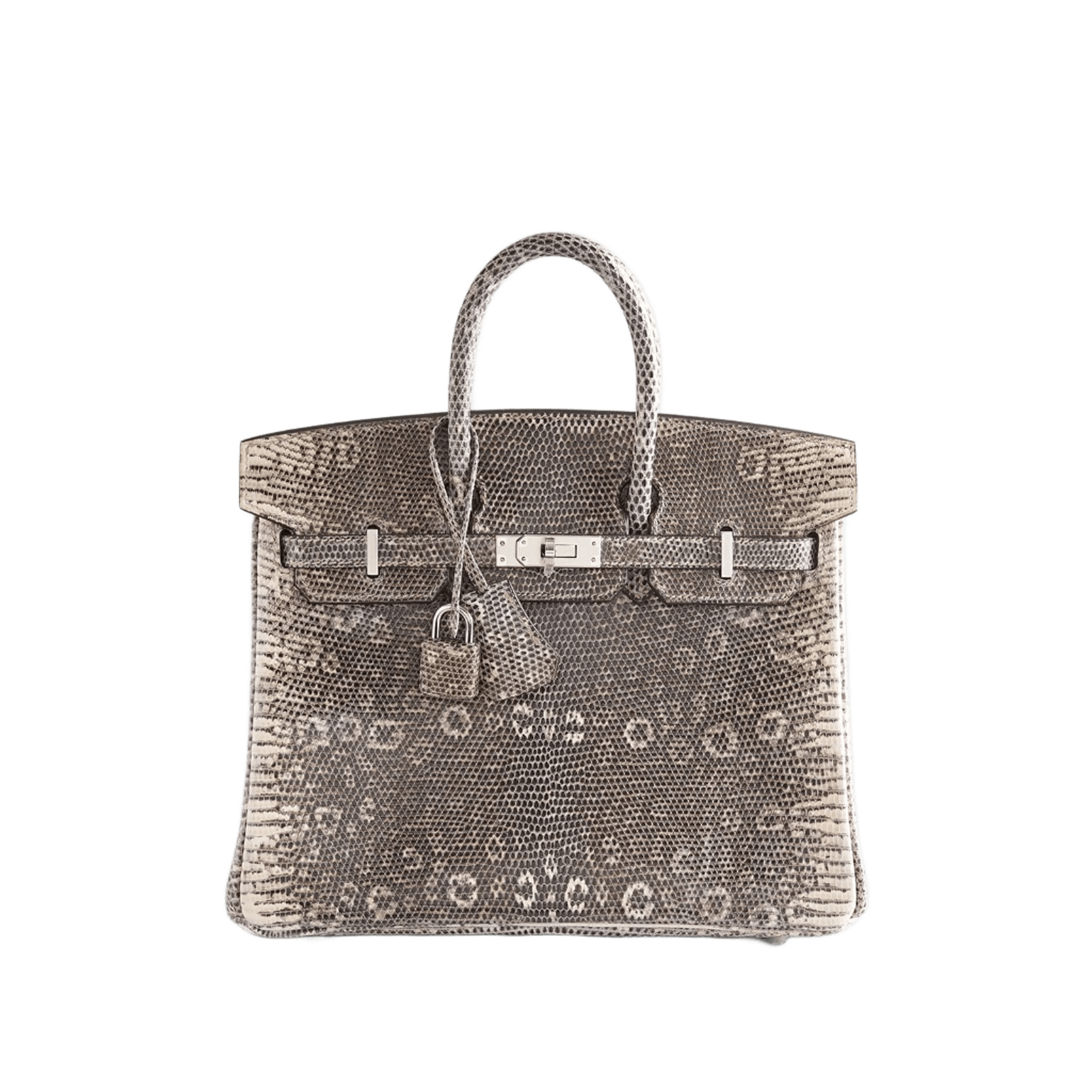 Hermès Birkin 25 Lizard Ombre Palladium Hardware