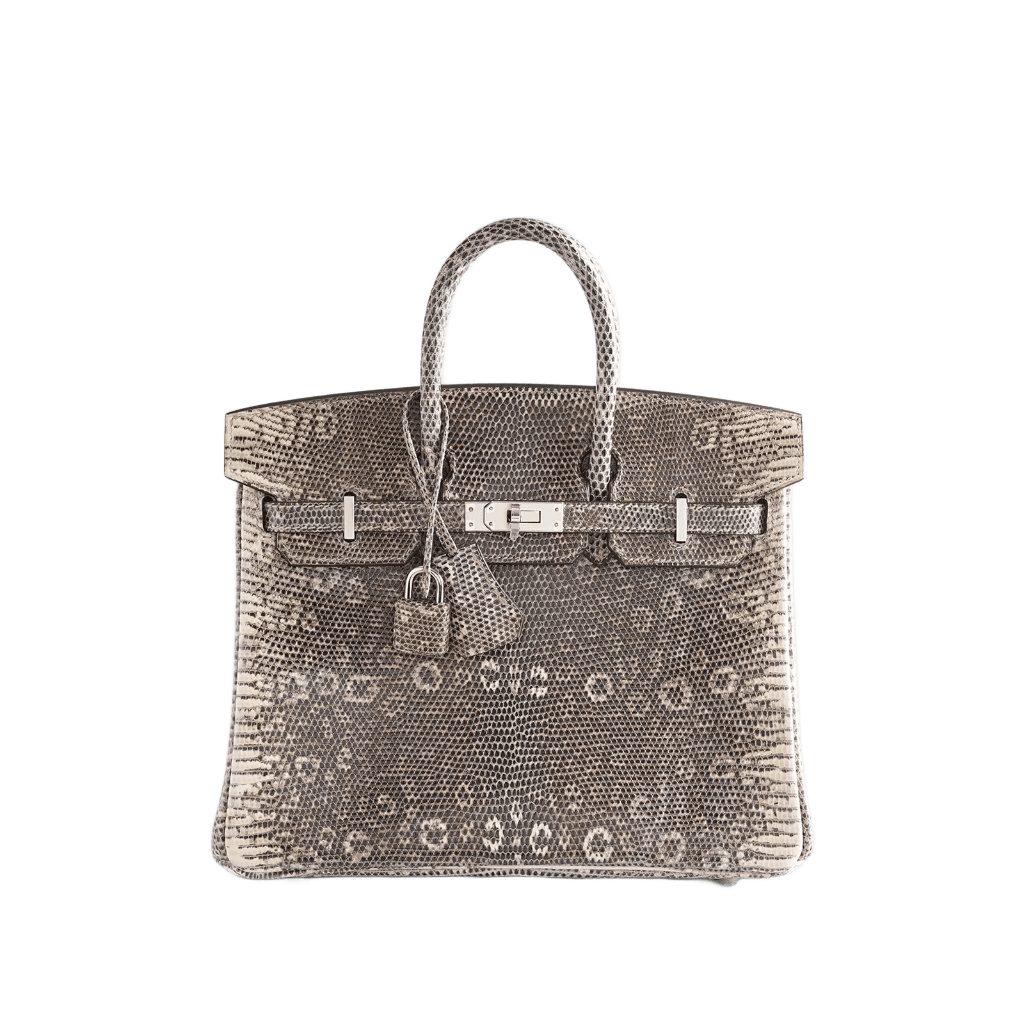 Hermès Birkin 25 Lizard Ombre Palladium Hardware