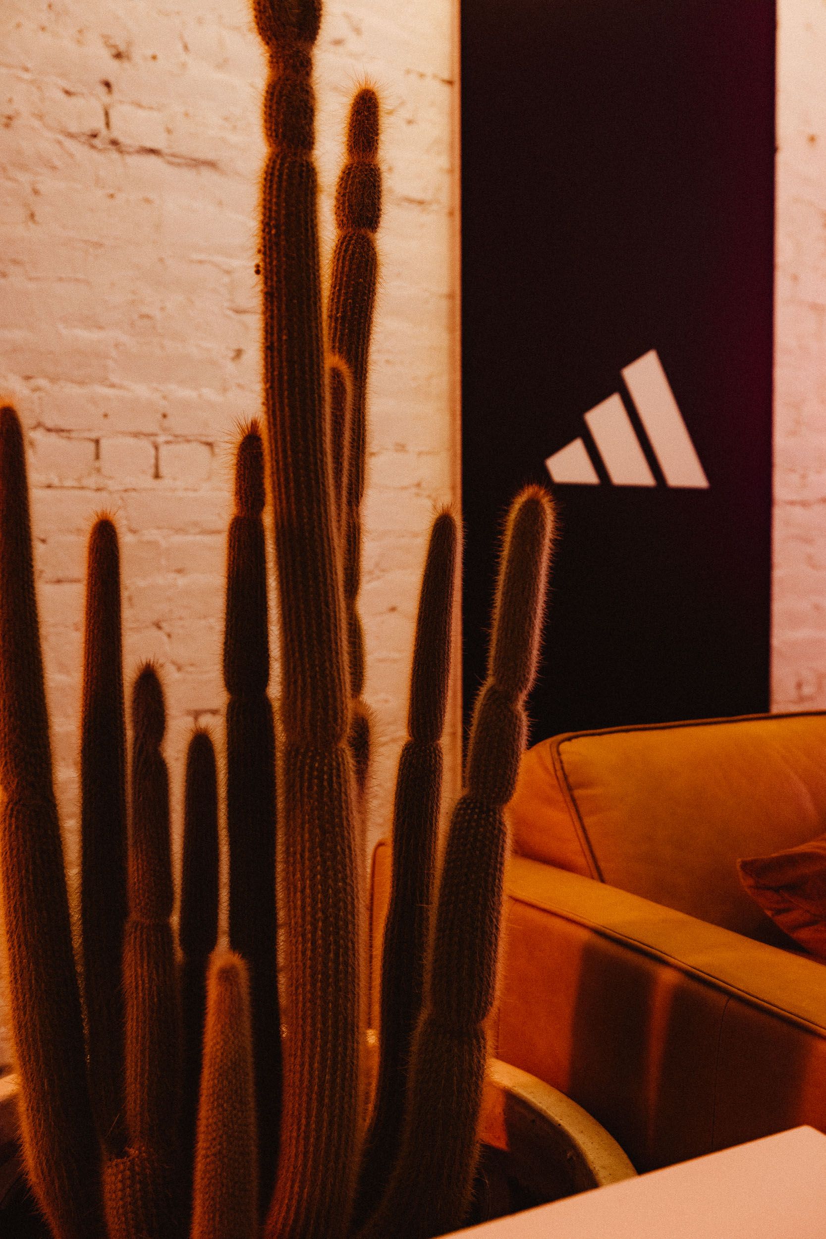 Super Bowl LVII – Madison Bracken