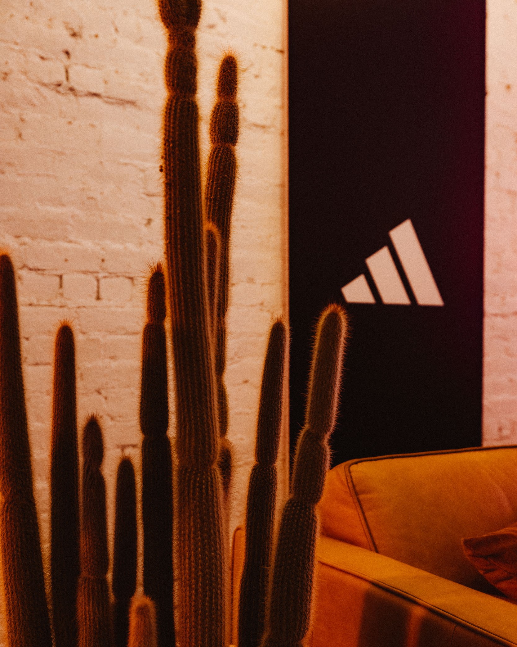 Super Bowl LVII – Madison Bracken