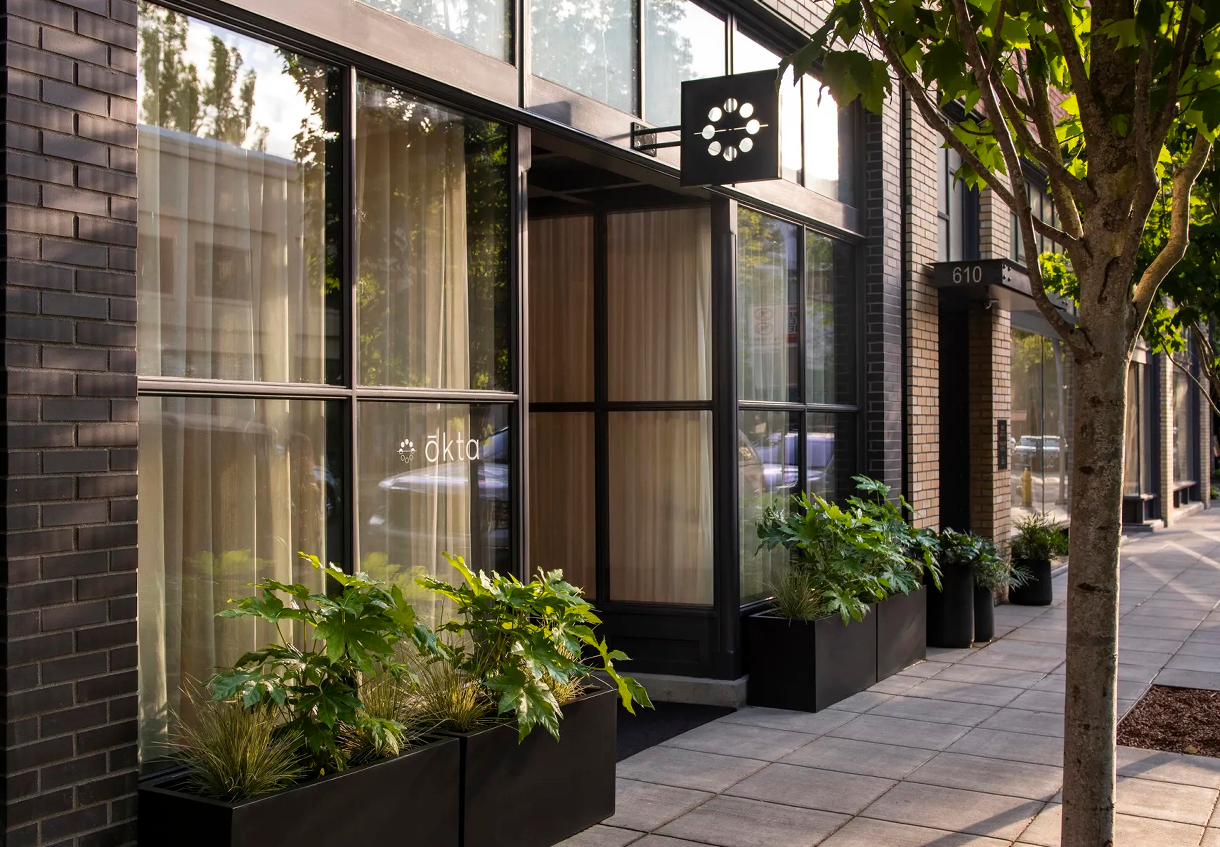 ōkta – Madison Bracken